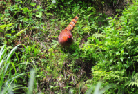 ���}�h��